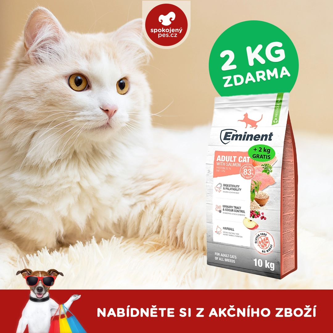 cat eminent.webp